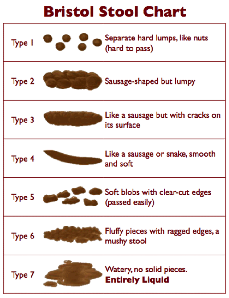 Best Bristol Stool Form Chart in the world Check it out now | stoolz